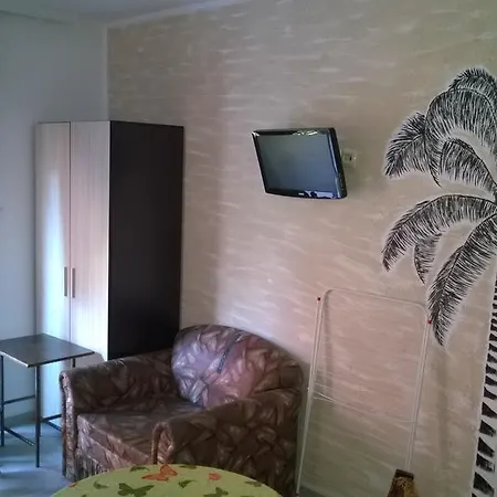 Dracena Ravda