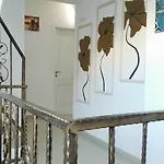 Dracena Равда