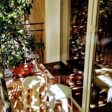 Dracena Guest house
