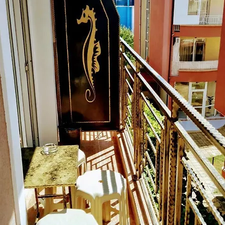 Dracena Guest house 4*