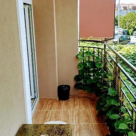 Guest house Dracena