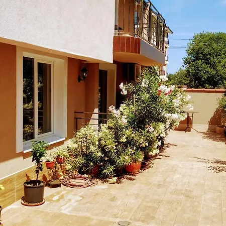 Casa de hóspedes Dracena