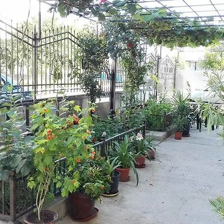Guest house Dracena