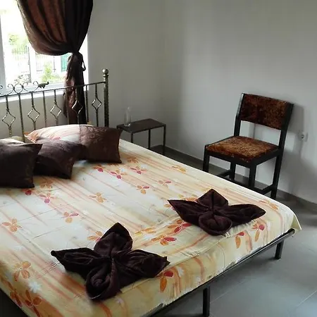 Guest house Dracena 4*