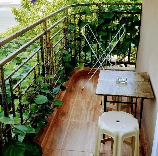 Dracena Pensjonat Rawda