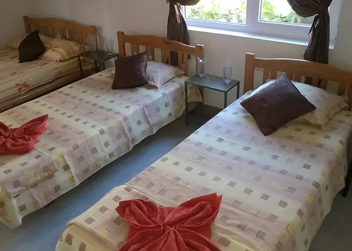 Pensjonat Dracena Rawda